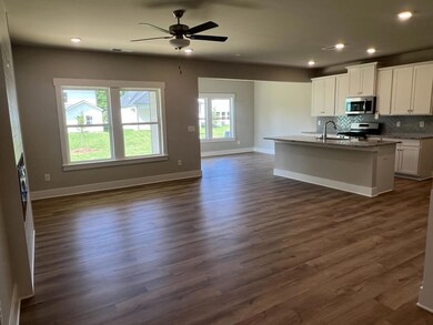 Family/Kitchen/Breakfast Area
