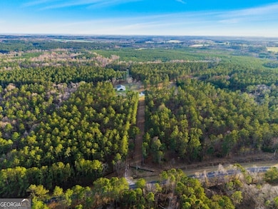 9418 Donnell Rd, Cobbtown, GA 30420 - photo 2