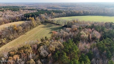 dji_fly_20241126_083054_0198_17326582883
