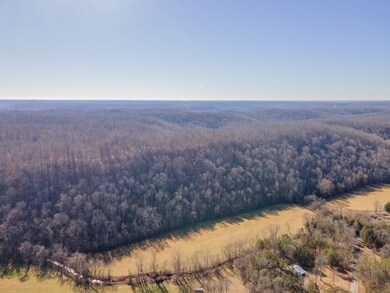 3527 Swindle Creek Rd, Linden, TN 37096 - photo 3