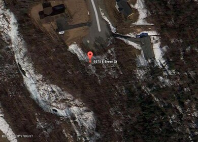 Google Satellite view
