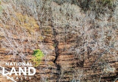 0 Lindsey Rd unit 25760188, Eclectic, AL 36024 - photo 4