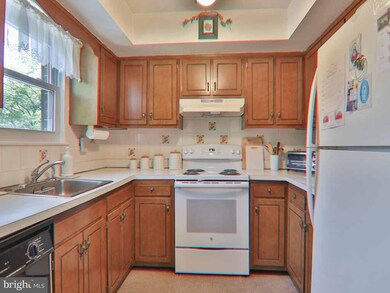 107 Sutcliffe Ln, Conshohocken, PA 19428 - photo 6