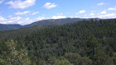 36282 Lodgepole Trace unit Lot F14, Trinidad, CO 81082 - photo 4