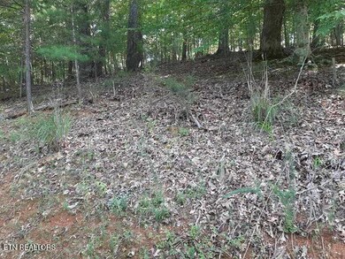 0 Deer Pond Cir unit 1281474, Lafollette, TN 37766 - photo 5