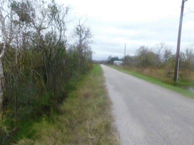 0 Cr 380, Rosharon, TX 77583 - photo 5
