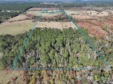 2901 Bailey Rd, Leesville, LA 71446 - photo 3