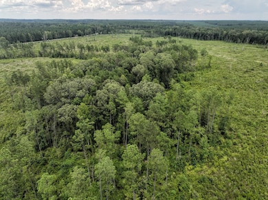 T-2 Louisiana 127, Jena, LA 71371 - photo 5