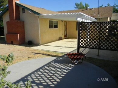 Back yard