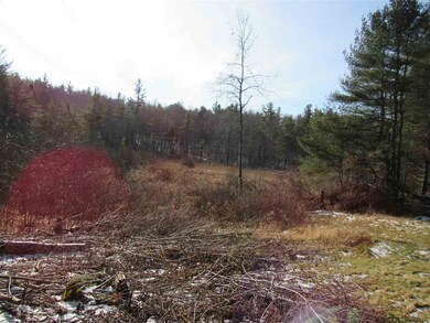 1843 Pennel Hill Rd, Halifax, VT 05358 - photo 4