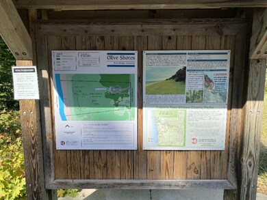 Olive Shores Park1
