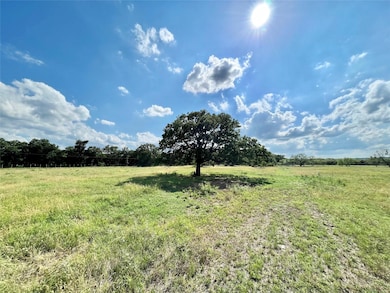 1505 Ballew Springs Rd, Weatherford, TX 76088 - photo 6