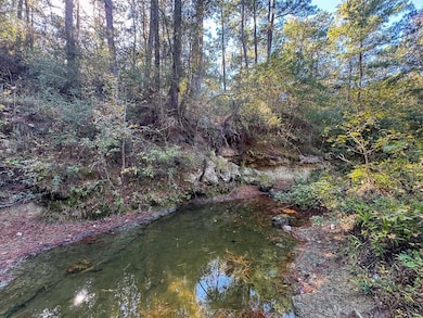 Rosenwall Rd, Huntsville, TX 77320 - photo 4