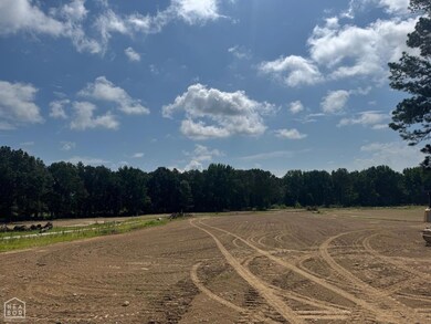 4 Horseshoe, Brookland, AR 72417 - photo 4