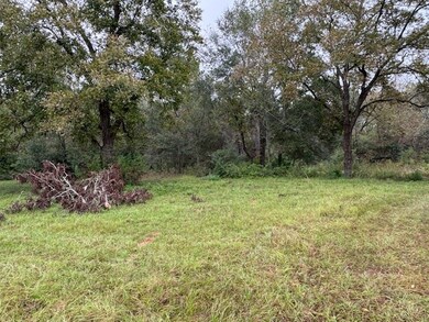 0- Wesley Rigdon Rd, Abraham Baldwin College, GA 31794 - photo 4