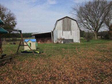 IMG_0387 - Copy (2)