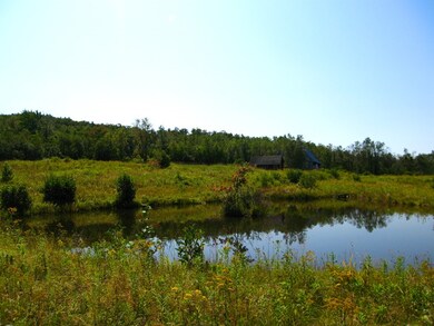 0 Higley Hill Rd unit 4754242, Marlboro, VT 05344 - photo 3