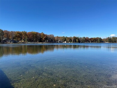 7099 Jose Lake Rd, South Branch, MI 48761 - photo 7