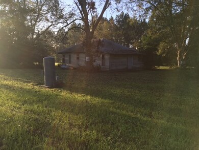 20353 Us Hwy 319 N, Coolidge, GA 31738 - photo 3