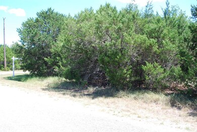 8130 High Mesa Dr, Whitney, TX 76692 - photo 5