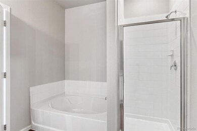 971 Cascade Falls St, Severance, CO 80550 - photo 7