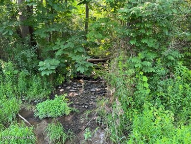 IMG_1941