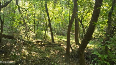 00 Nelson Corner Rd, Roxie, MS 39661 - photo 6