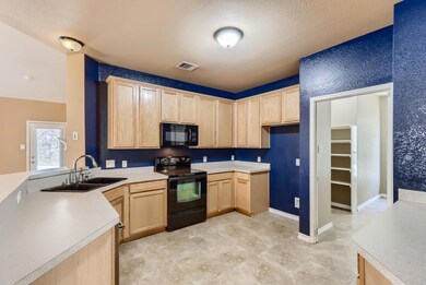 10105 Cherry Hill Ln, Providence Village, TX 76227 - photo 6