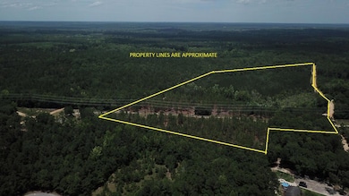 00 Stacey Bridge Rd, Orangeburg, SC 29118 - photo 2