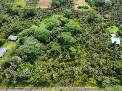 0 Kiele St unit 725401, Kurtistown, HI 96760 - photo 5