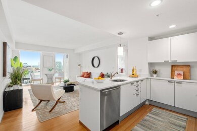 Sierra & Tango Condominiums unit PH 2, Cambridge, MA 02141 - photo 7