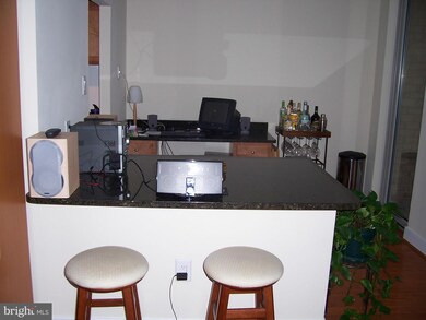 Mica Condominiums unit 506, Silver Spring, MD 20910 - photo 5