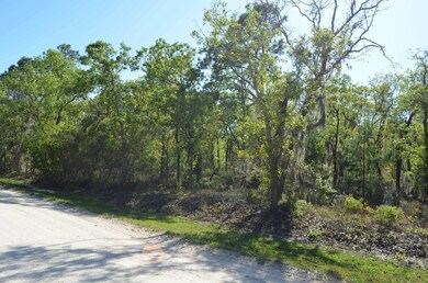 000 Sea Oaks Loop, Keaton Beach, FL 32348 - photo 3