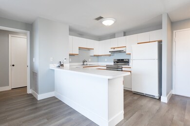 Point of Pines Condominiums unit 409, Revere, MA 02151 - photo 6
