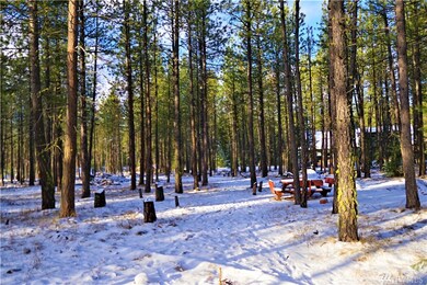 10 Winston Rd, Ronald, WA 98940 - photo 6