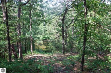 VL Rifle River Trail, West Branch, MI 48661 - photo 2
