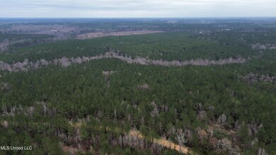 0 Mount Gilead Rd, McCall Creek, MS 39647 - photo 5