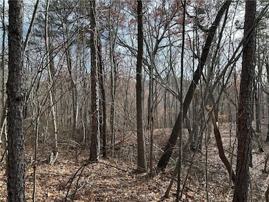 0 Georgia 105, Baldwin, GA 30511 - photo 4