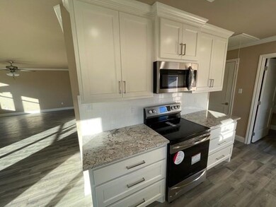 2209 Centaurus Way, Granbury, TX 76048 - photo 4