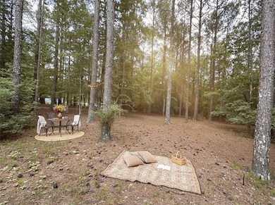 None Maner Rd, Rockmart, GA 30153 - photo 2