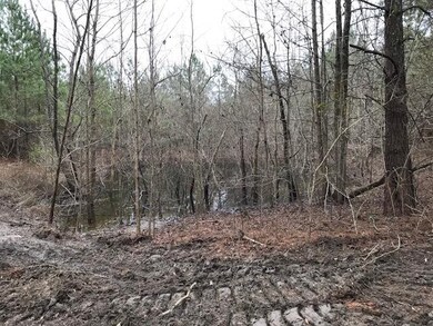 000 Airport Rd, Tylertown, MS 39667 - photo 5