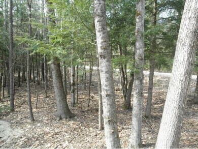 Lot 7 Summit View Dr, Tamworth, NH 03886 - photo 4