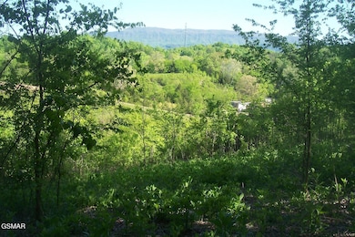 Tract 1 Chapman Hwy, Seymour, TN 37865 - photo 3