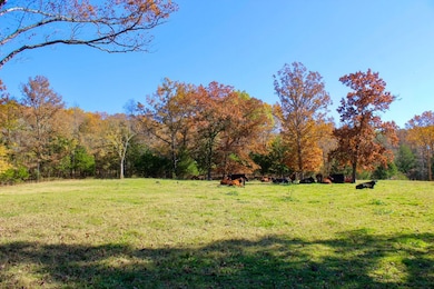 0000 Madison 3370, Witter, AR 72776 - photo 5