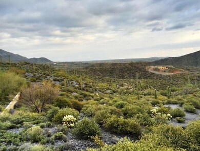 3 Acre Estate Homesite