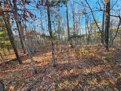 3 Zennor Ln, Bella Vista, AR 72715 - photo 3