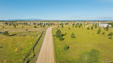 18150 Pinon Park Rd unit 199, Peyton, CO 80831 - photo 7