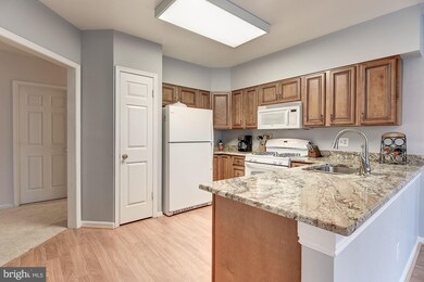 14 Bandon Ct unit 203, Lutherville Timonium, MD 21093 - photo 7