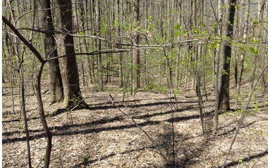 Additional View