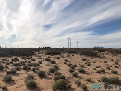 000 Sands Rd NW, Deming, NM 88030 - photo 4